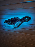 Stainless steel Sea turtle