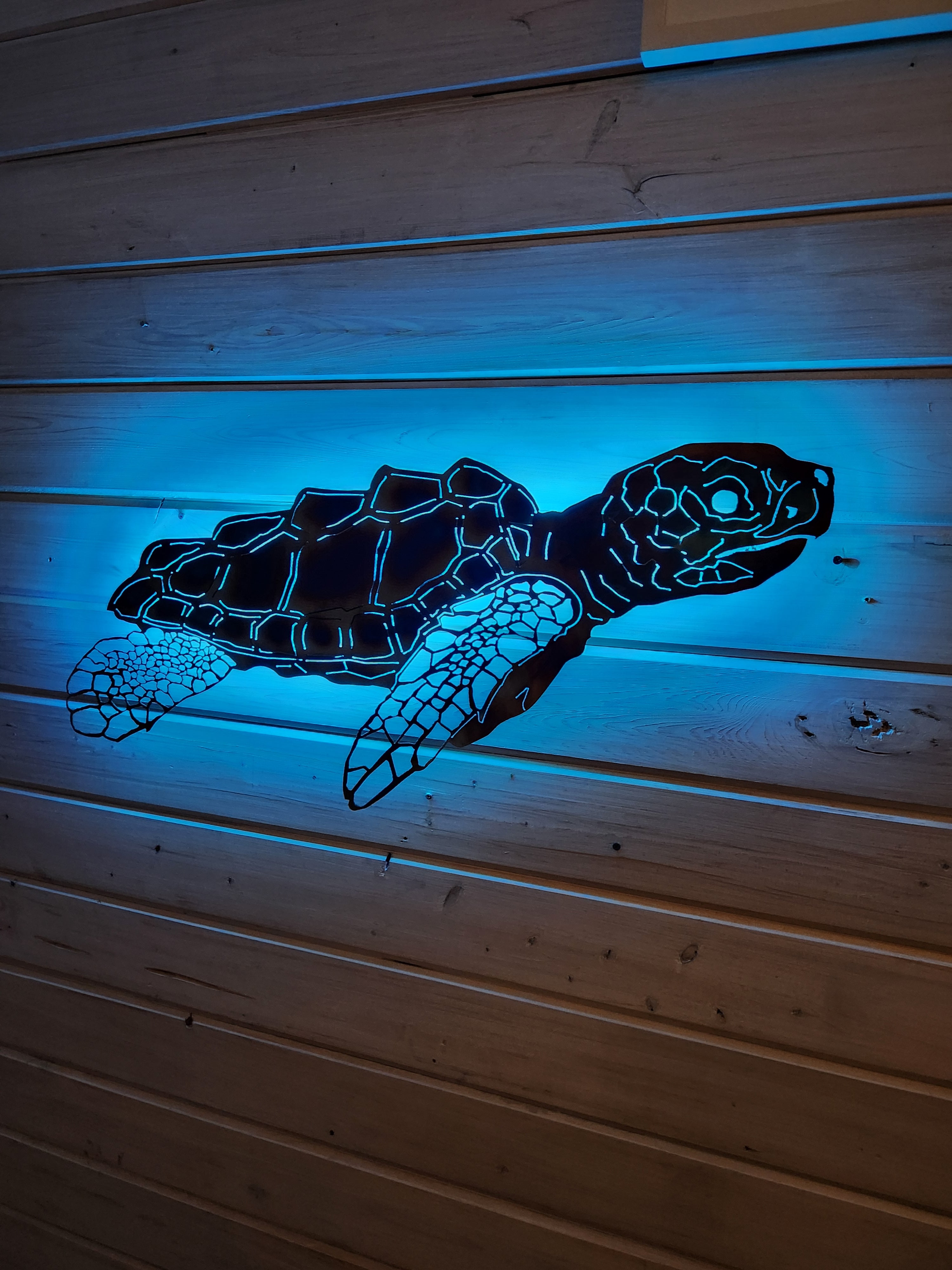 Stainless steel Sea turtle