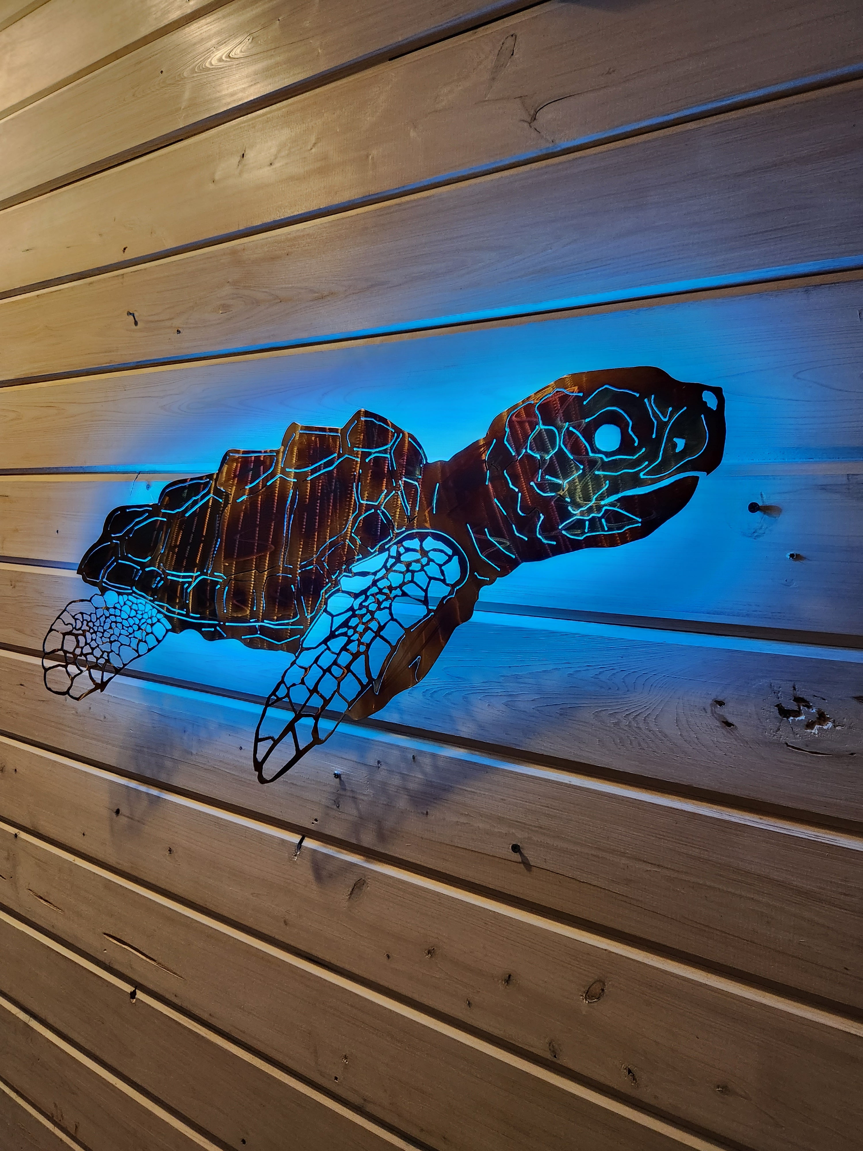 Stainless steel Sea turtle