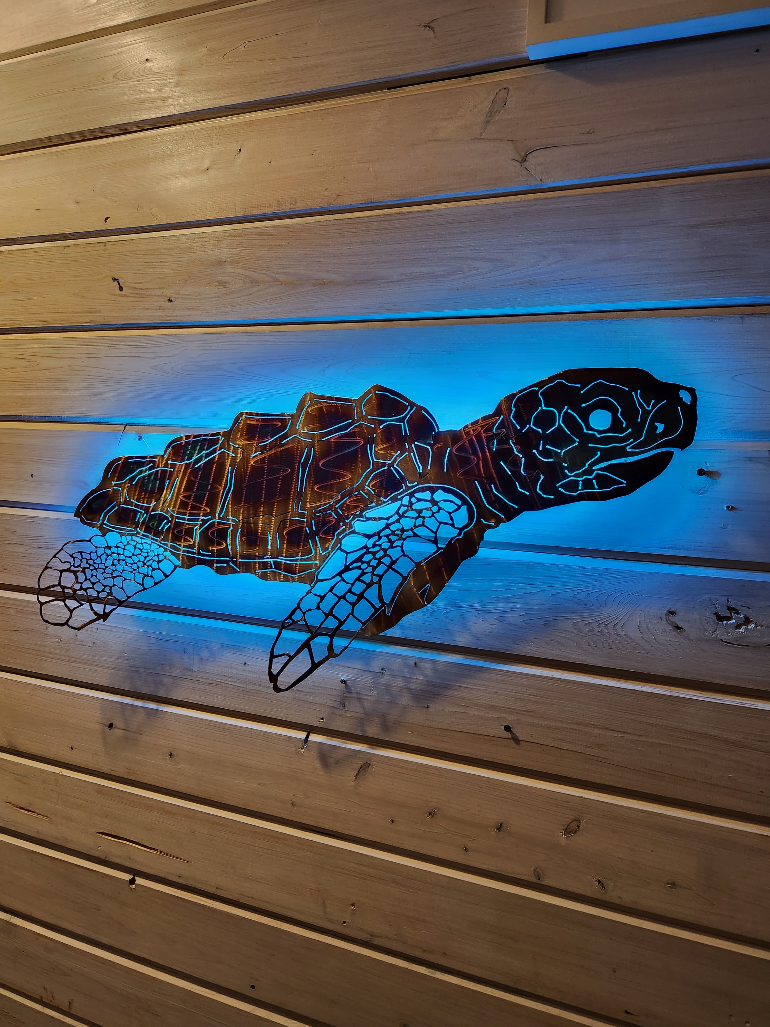 Stainless steel Sea turtle