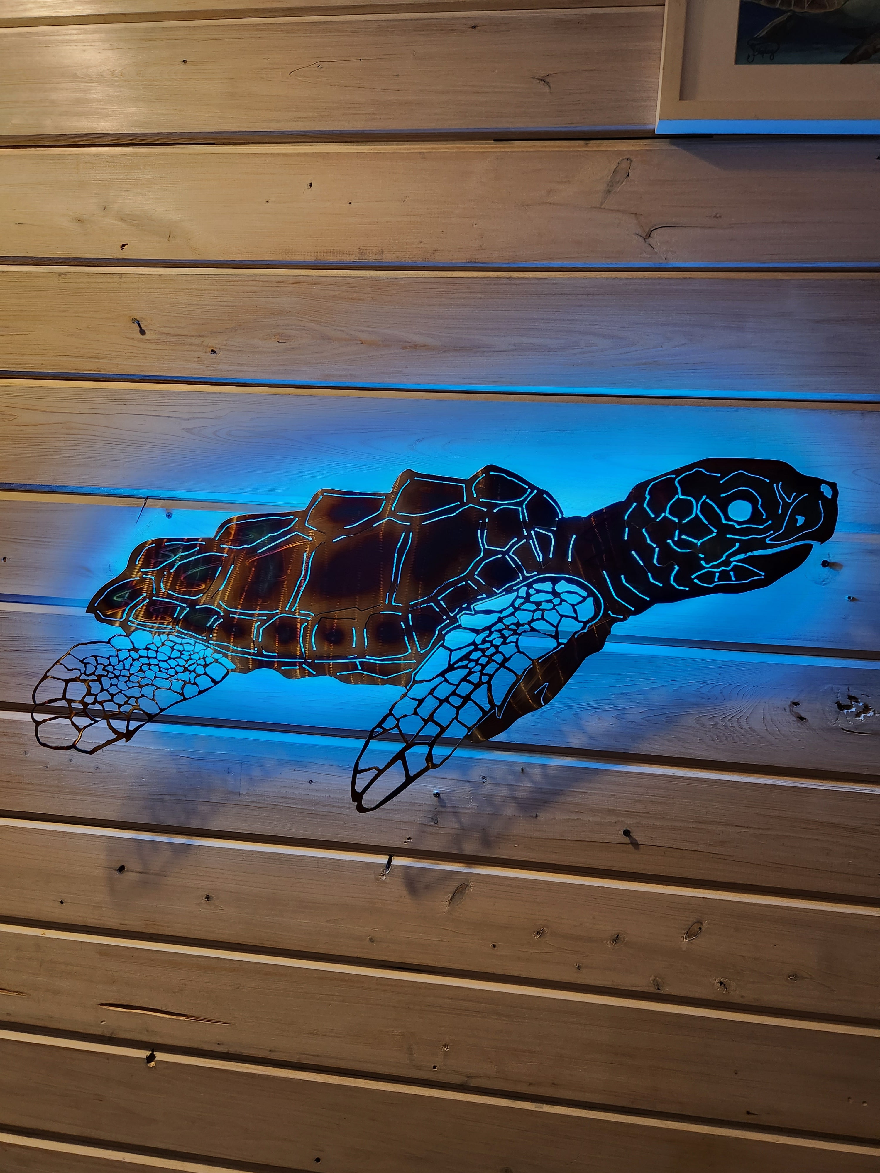 Stainless steel Sea turtle