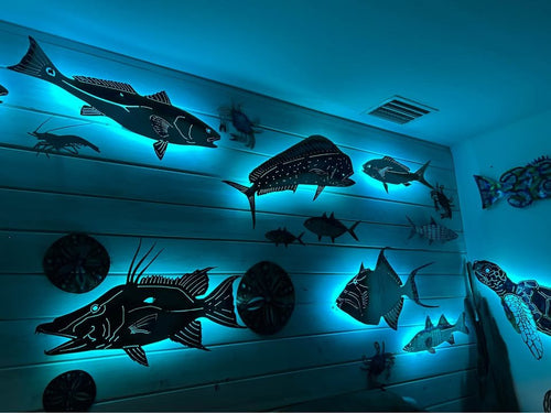Stainless steel Hogfish
