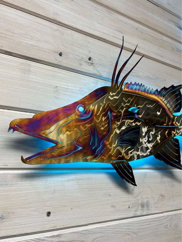 Stainless steel Hogfish