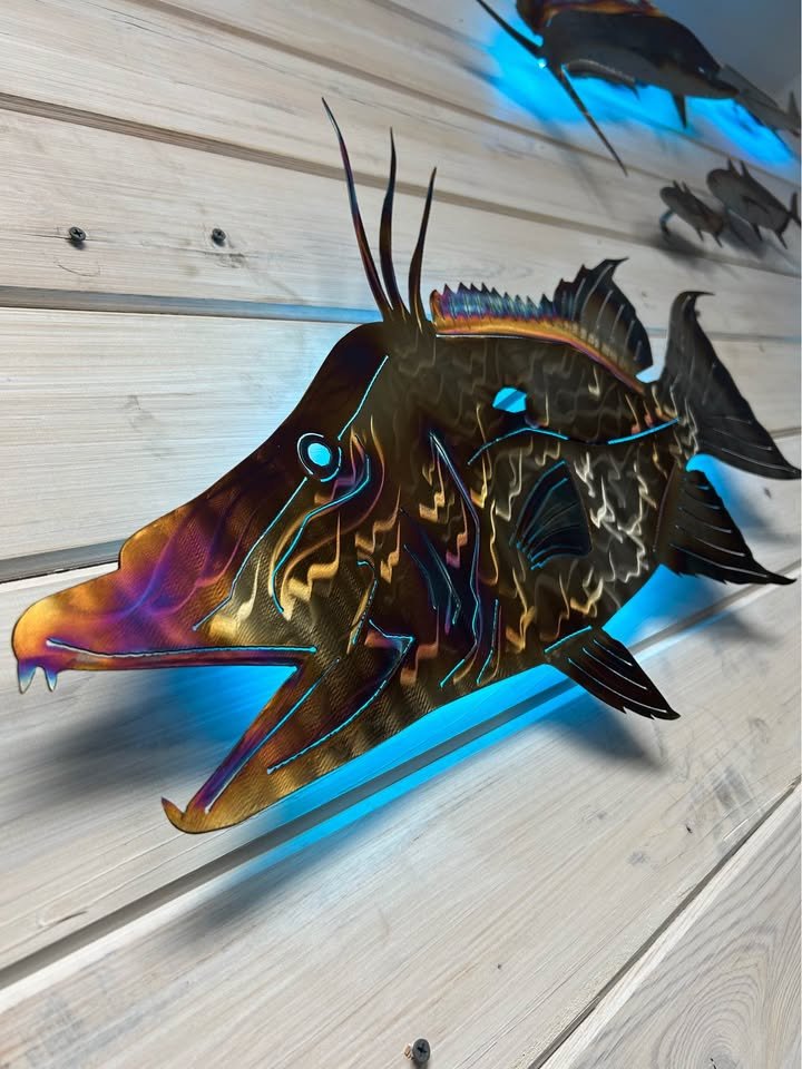 Stainless steel Hogfish
