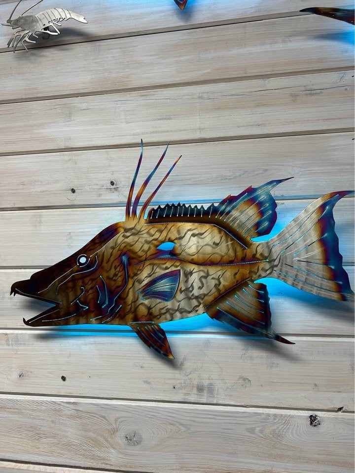Stainless steel Hogfish