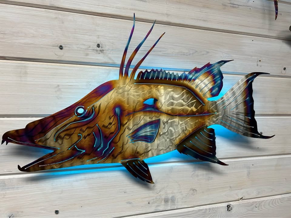 Stainless steel Hogfish