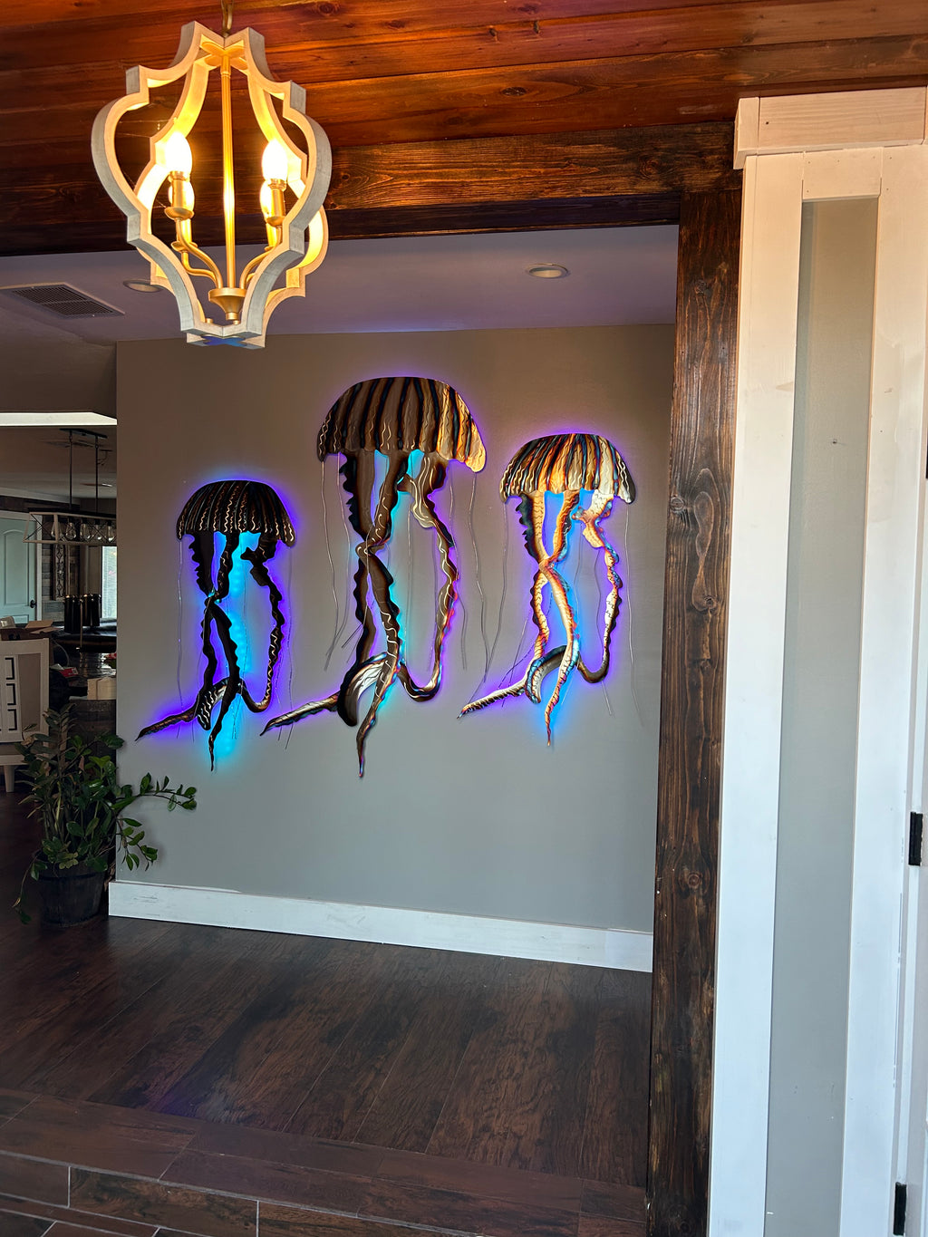 Stainless steel Jelly Fish