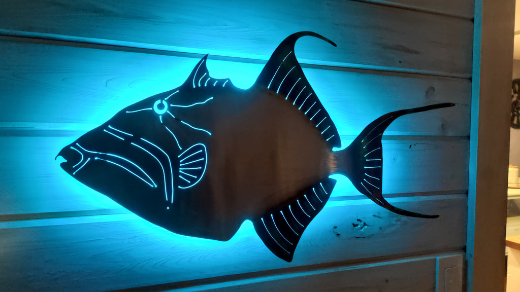Stainless steel Queen Trigger fish