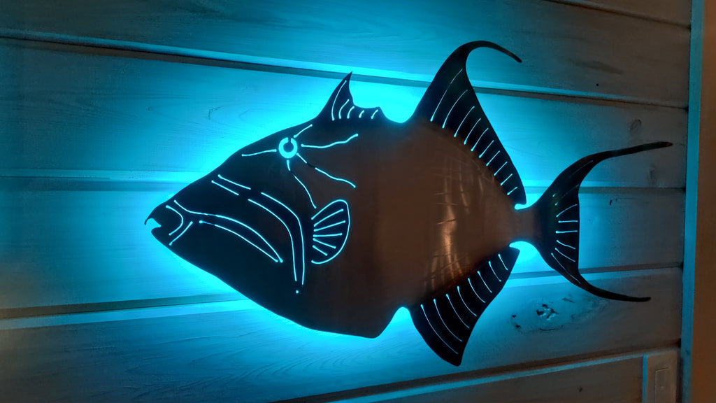 Stainless steel Queen Trigger fish