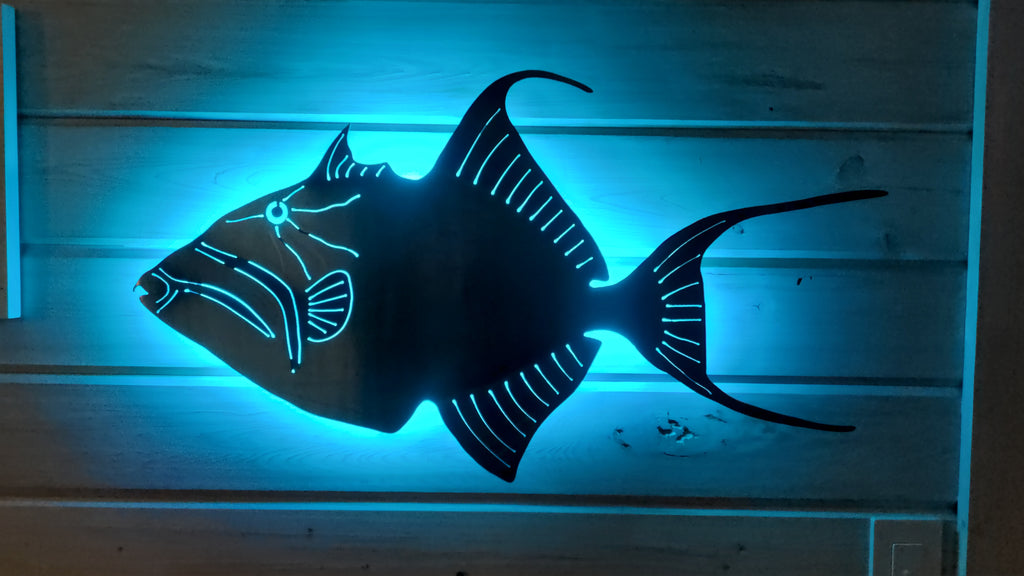 Stainless steel Queen Trigger fish