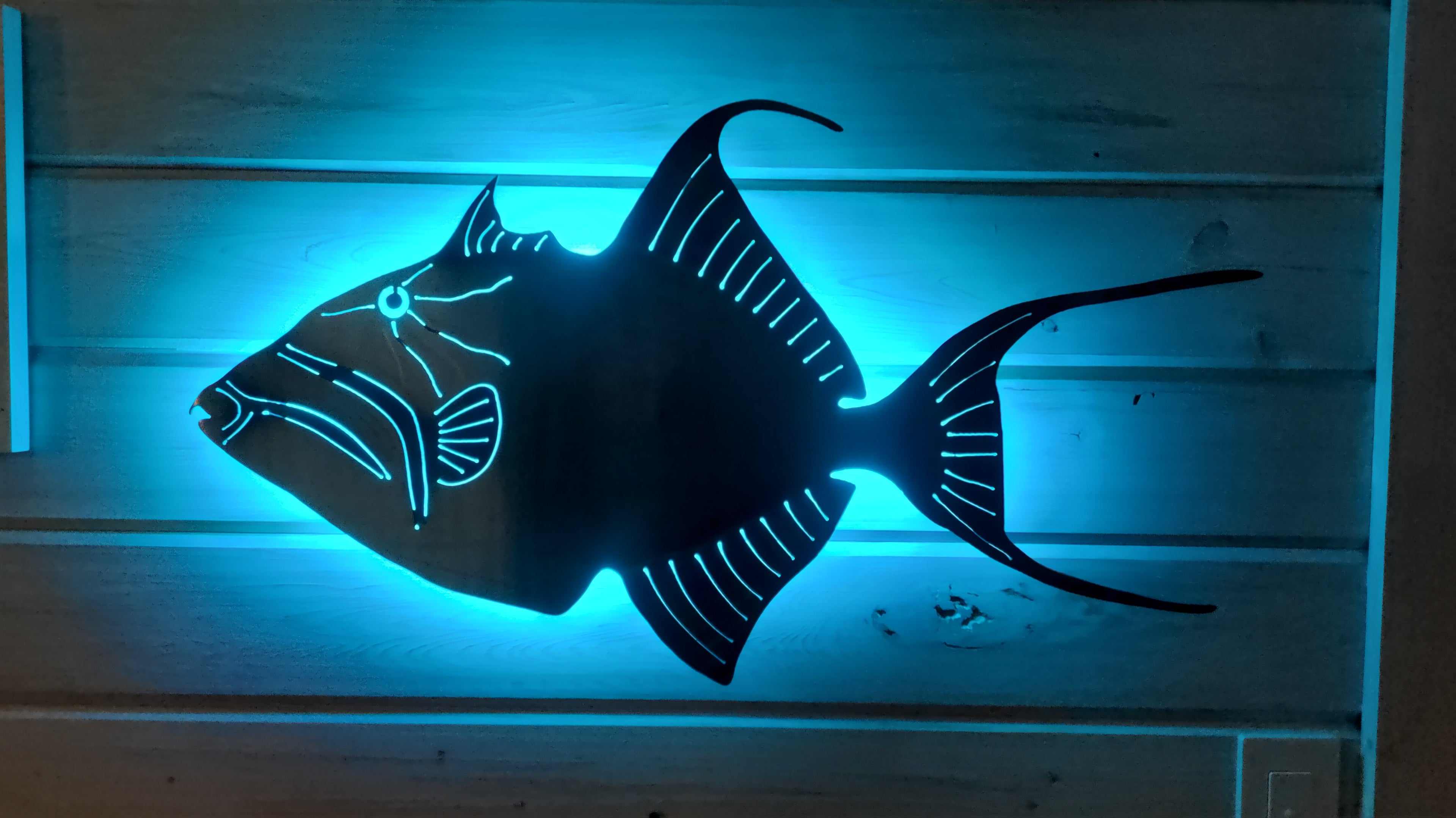 Stainless steel Queen Trigger fish