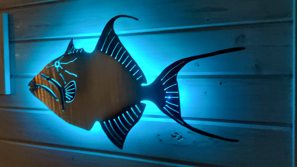 Stainless steel Queen Trigger fish