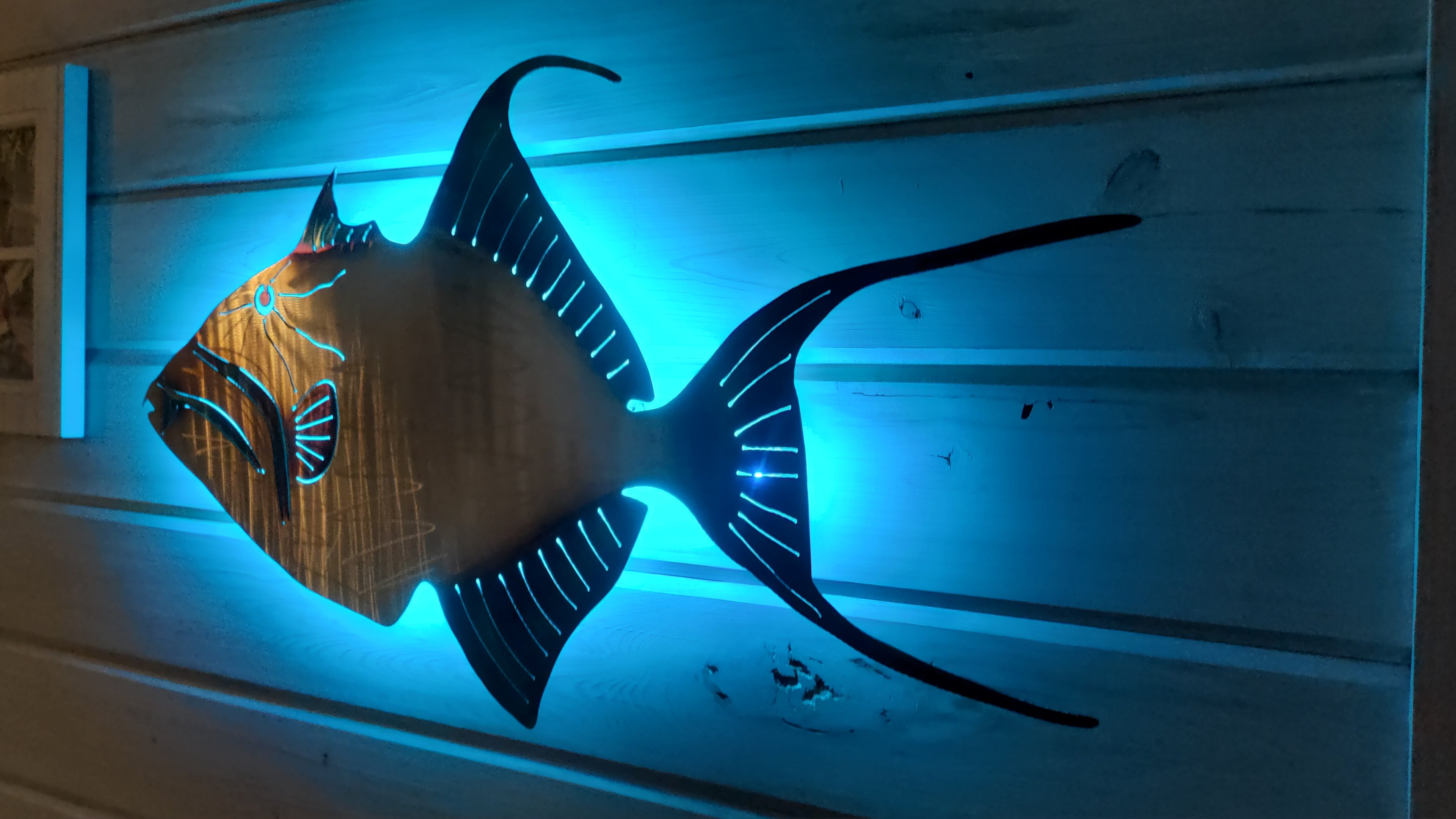 Stainless steel Queen Trigger fish