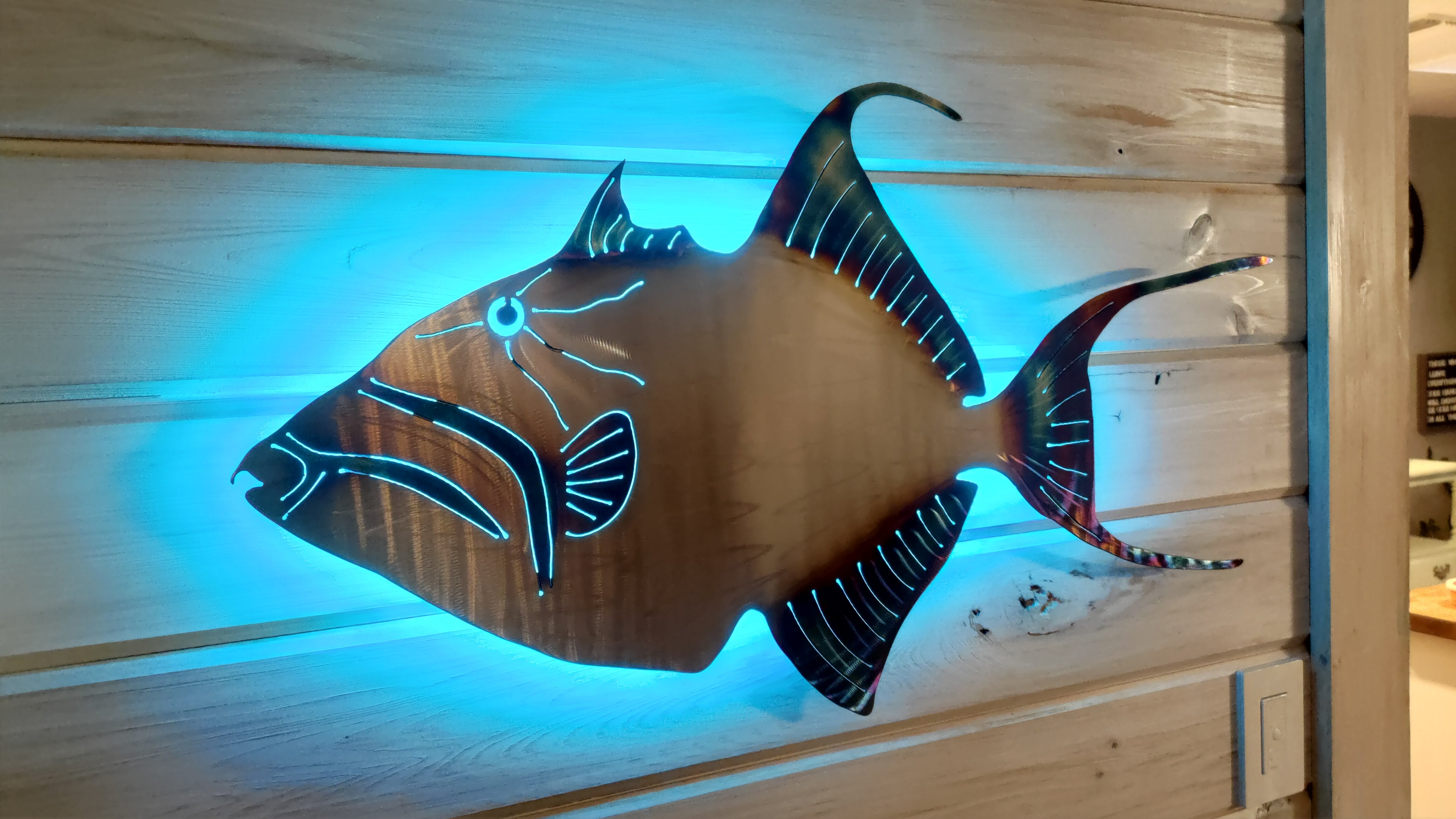 Stainless steel Queen Trigger fish