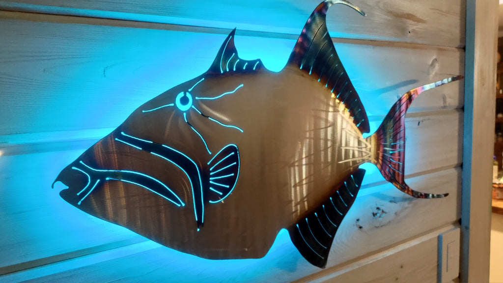 Stainless steel Queen Trigger fish