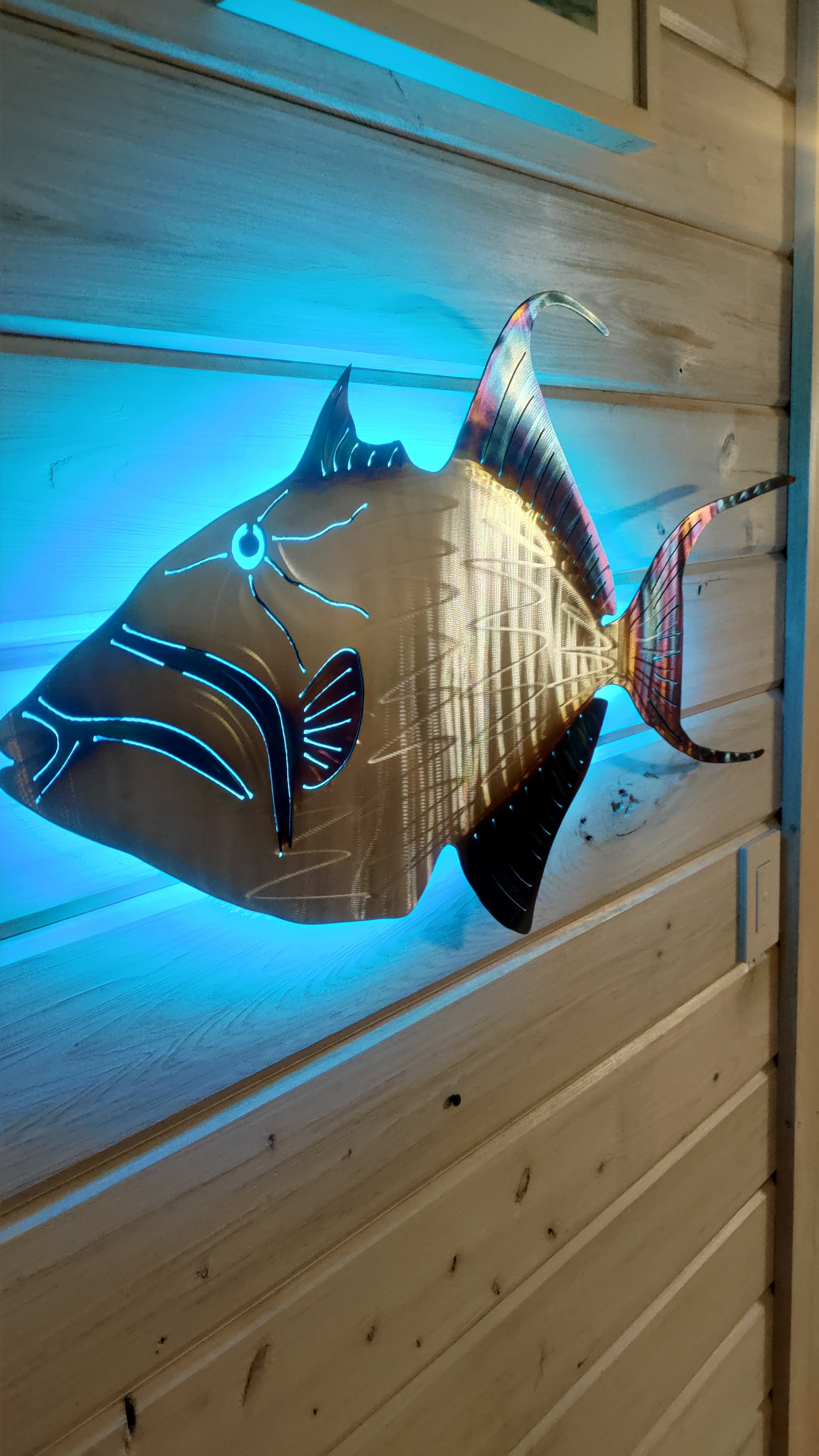 Stainless steel Queen Trigger fish
