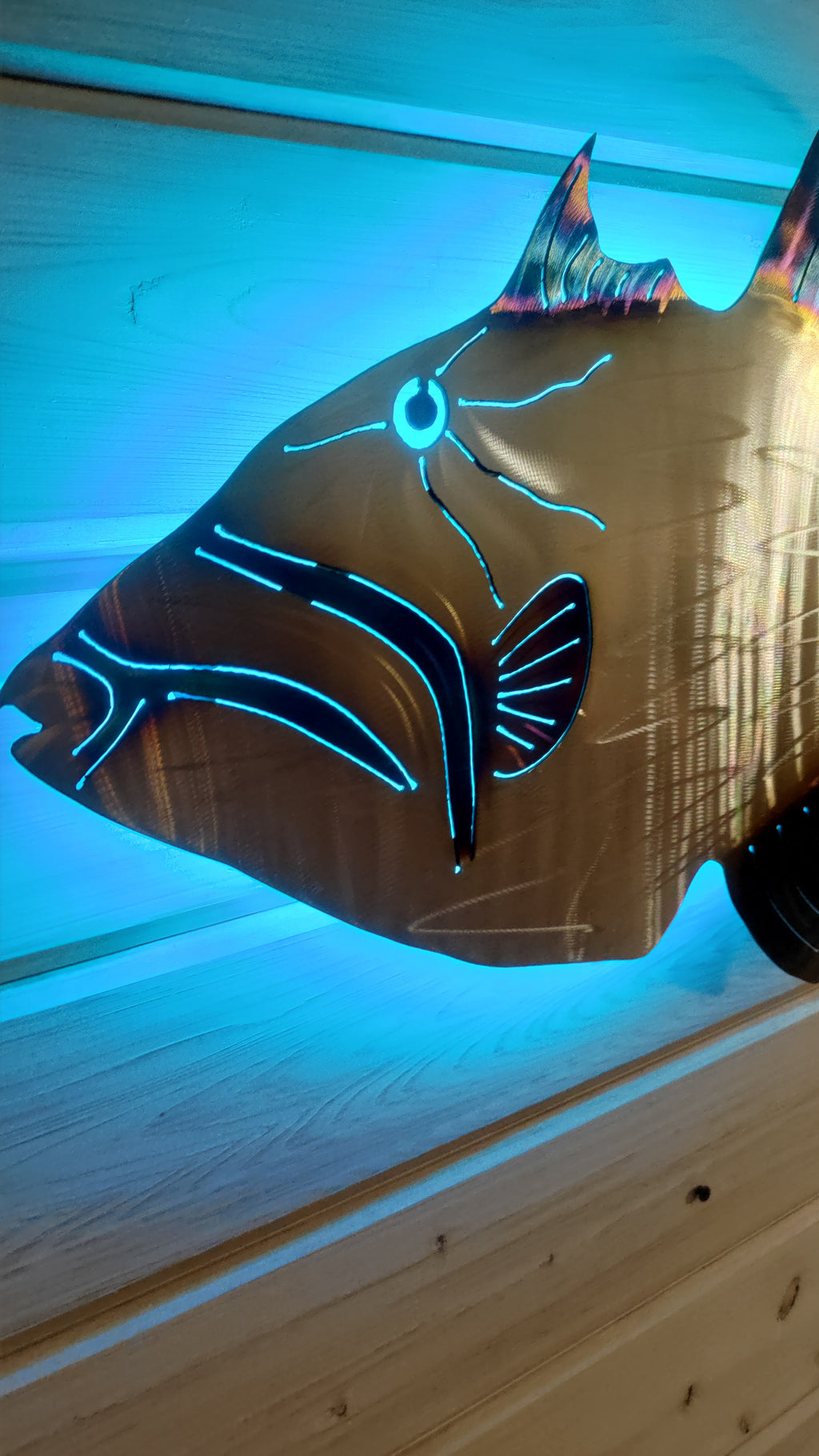 Stainless steel Queen Trigger fish