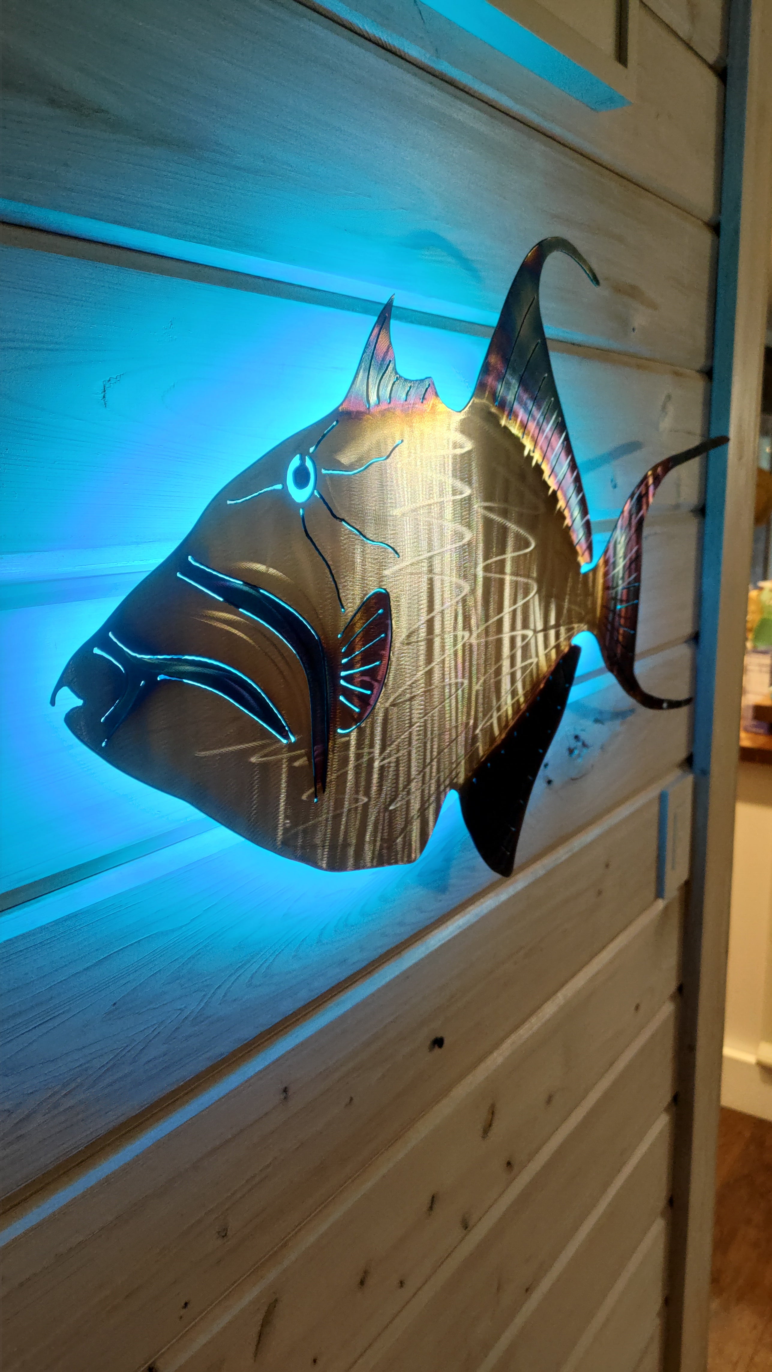 Stainless steel Queen Trigger fish