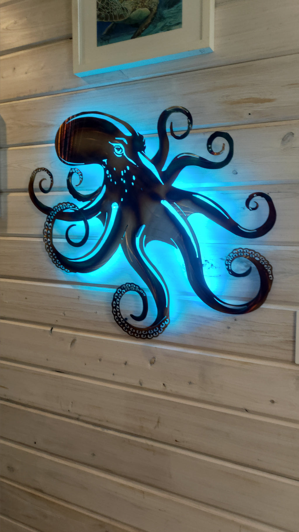 Stainless steel Octopus style 1
